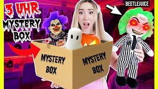 Öffne niemals 3 Uhr vor HALLOWEEN mystery XXL PAKET aus Miami wenn Beetle Juice aus KINO in Box ist