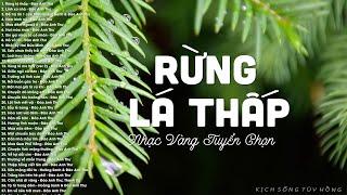 RỪNG LÁ THẤP - 40 Tuyệt Phẩm Nhạc Vàng Xưa Đi Vào Lòng Người - Nhạc Hải Ngoại Hay