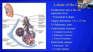 Virtual FTS Adult Session: Metaphorical Signs in Computed Tomography of Chest