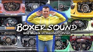 VW Boxer Sound - Von 34 PS bis 360 PS - Welcher Klang ist dein Favorit?