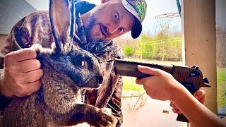 Rabbit processing! Homestead meat!