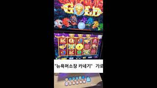 raaaluuu 라이브 방송 오룡이골드
