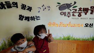 พิพิธภัณฑ์แมลง, Insect museum, 여주곤충박물관에 다녀왔어요. 무서움을 타는 다예가 글쎄...[สามีเกาหลี, 한태가족, 한태커플]