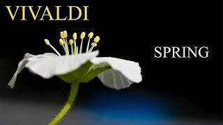VIVALDI The Four Seasons Spring "La primavera" (FULL) - Classical Music HD