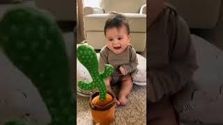 Pbooo Dancing Talking Cactus Mimicking Toy,Talking Repeat Singing Sunny Cactus Toy 120 Pcs Songs 