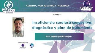 Insuficiencia Cardíaca Congestiva , Diagnóstico Y Plan De Tratamiento - MVZ Jorge Fajardo Camps