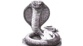 Be Ye Wise As Serpents