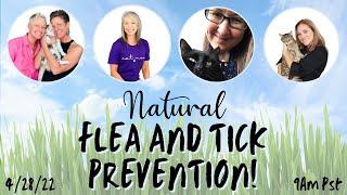 Natural Flea & Tick Prevention Round Table Event | Two Crazy Cat Ladies