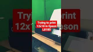 Epson L8180 12x18sheet printing trile on Digital sheet