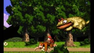 Donkey Kong Country Battle Arena - Donkey Kong fights Mugly from Donkey Kong Country Returns