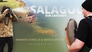 Salagou zur Laichzeit | Karpfenangeln in Frankreich |Carpfishing | Boilies | Angeln