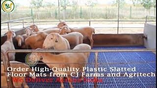 Top-Quality Plastic Slatted Floors for Goat, Dog, Poultry, and Pig Farms|CJ farms