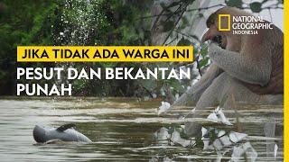 Hasrat Merawat Pesut dan Bekantan - National Geographic Indonesia