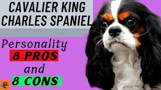 CAVALIER KING CHARLES SPANIEL PROs & CONs (Include Health Problems) - Must Watch Before Getting One