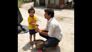 Save tree Save life !! Tree plantation !! Rimi and Mimi !!