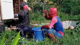 Spider Man Absurd | Humor Super Aneh Dan Lucu (Big Ice Tea)