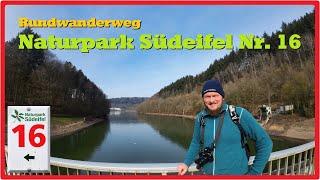 Rundwanderweg Naturpark Südeifel Nr. 16 | Biersdorf am See [2,7K]