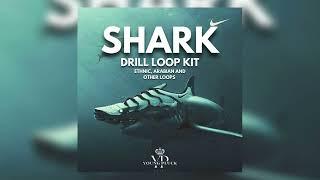 [9 FREE] DRILL LOOP KIT / SAMPLE PACK 2024 - SHARK  (Ethnic, Arabian and other loops)