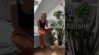 ТОП-5 🪴 для спальни
