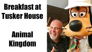 Disney World Animal Kingdom | Tusker House Breakfast Review | Rivers of Light Package