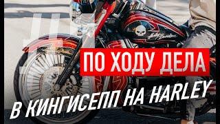 В Кингисепп на Harley-Davidson попить кофеёк