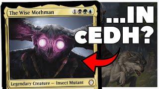 cEDH THE WISE MOTHMAN & SLIME AGAINST HUMANITY?? #edh