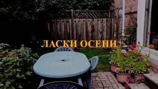 Ласки осени - Геннадий Бейгин