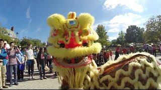 The Confucius Institute at UMD