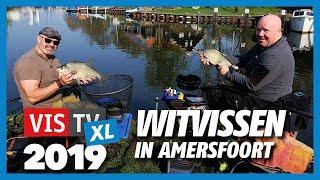 VIS TV XL 2019 - Witvissen in Amersfoort met Marco Kraal en Leo Stoutjesdijk