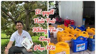 Bí quyết Nuôi TRÁI không Tốn công PHỤC HỒI