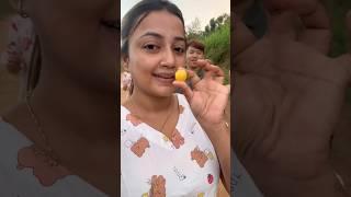 নেপালের আমাদের গ্রাম তোমাদের দেখায় চলো ️  #bengalivideo #shorts #shortvideo #minivlog #nepal