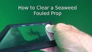 How to Clear a Seaweed Fouled Prop