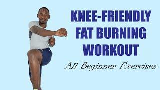 30 Minute Knee-Friendly Full Body Workout to Burn Fat - ALL BEGINNER EXERCISES