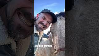 a boy and his horse #horse #country #california