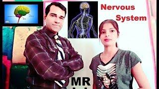 Nervous System | MR Interview question | CNS & PNS | Central Nervous system | PD Classes