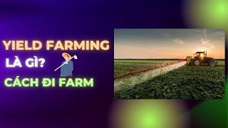 Yield Farming Là Gì? Cách Làm "Nông Dân" Đi Farm Trong Crypto