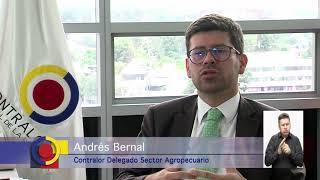 Conoce en qué consiste la auditoría de desempeño
