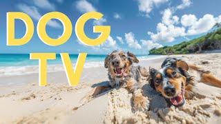DOG TV: Best Video Entertain for Dogs - 20 Hours of Soothing Music for Anxious Dogs When Home Alone