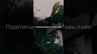 как улучшить память ? #ислам