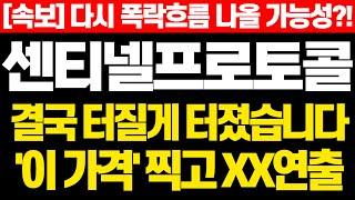 [센티넬프로토콜] 속보! 다시 폭락흐름 나올 가능성?! 결국 터질게 터졌습니다 '이 가격' 찍고 XX연출!