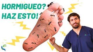 Exercises for NEUROPATHY of the FEET  Tingling  and numbness  Fisiolution