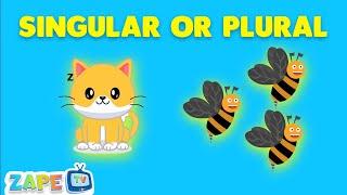  Singular and Plural Song for Kids | Fun Learning with Words  | Zape Tv