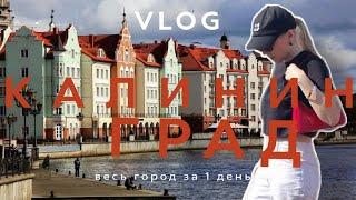 VLOG | КАЛИНИНГРАД ЗА 1 ДЕНЬ | АМАЛИЕНАУ | ОСТРОВ КАНТА | ЯНТАРЬ