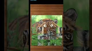 Dangerous Tiger Puzzle | Farm&Wild Animals Funny Puzzle Games for Kids | Animal Jigsaw Puzzles