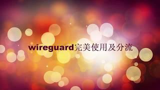 wireguard完美使用及分流