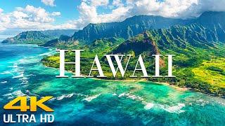 Hawaii 4K Ultra HD - Scenic Wildlife Film With Calming Music || Scenic Film Nature