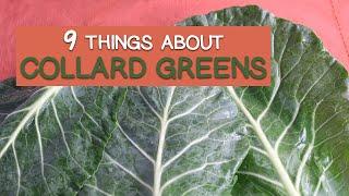 9 Things About Collard Greens - Use in the American South