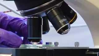 Energy 101 | Biofuels