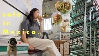 Solo in MEXICO CITY Vlog PT. 3  | movie night, touring a chinampa, and a must-visit library