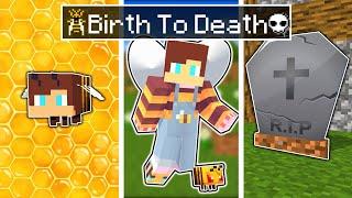 JJ is BIRTH to DEATH Bee - Minecraft Animation [Maizen Mikey and JJ]